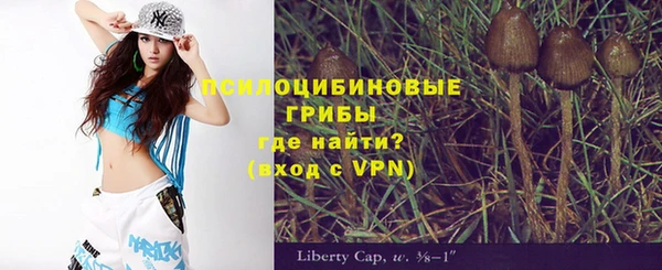 мет Аркадак