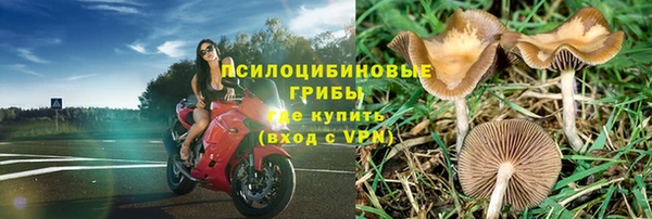 а пвп мука Арсеньев