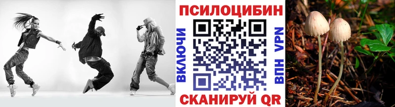 Псилоцибиновые грибы Cubensis Белинский